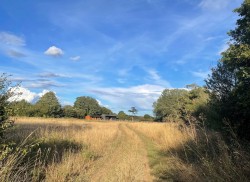 Images for Sudbury, Suffolk, Sudbury