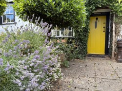 Images for Halstead, Essex, Halstead