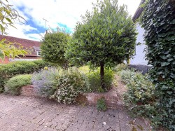 Images for Halstead, Essex, Halstead