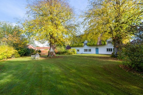 Click the photo for more details of Mellis, Eye, Eye