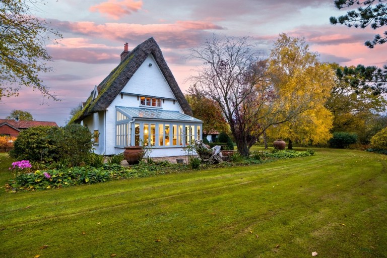 Images for Mellis, Eye, Eye