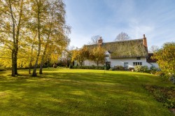 Images for Mellis, Eye, Eye