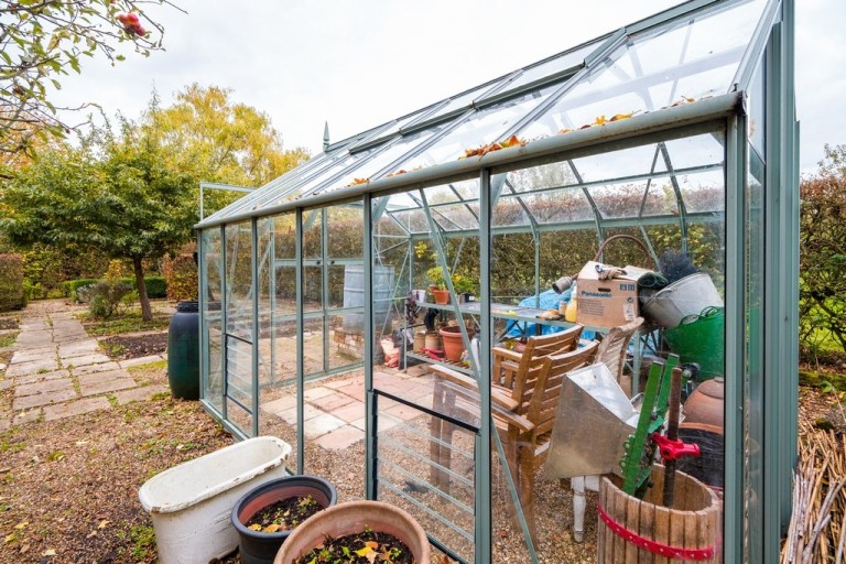 Images for Mellis, Eye, Eye