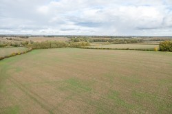 Images for Essex, Halstead