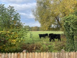 Images for Suffolk, Sudbury