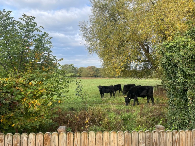 Images for Suffolk, Sudbury