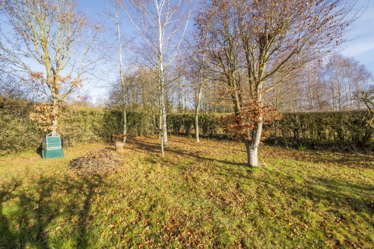 Images for Suffolk, Ipswich