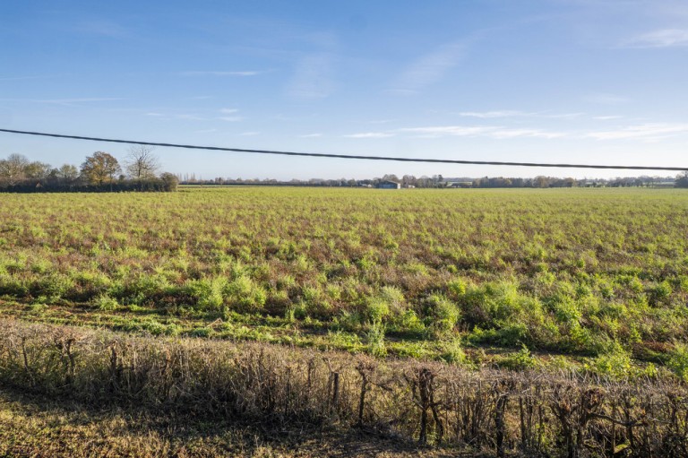 Images for Sudbury, Suffolk, Sudbury