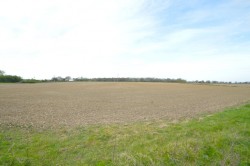 Images for Sudbury, Essex, Sudbury