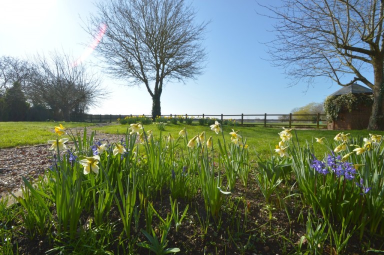 Images for Halstead, Essex, Halstead