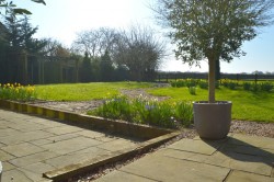 Images for Halstead, Essex, Halstead