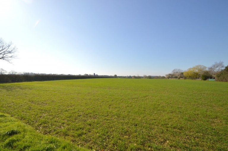 Images for Halstead, Essex, Halstead