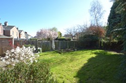 Images for Essex, Halstead