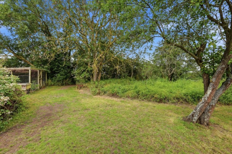 Images for Colchester, Essex, Colchester