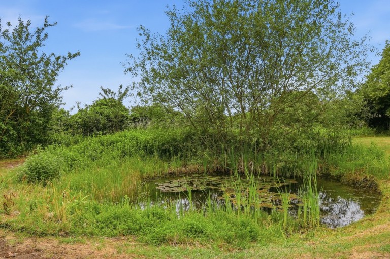 Images for Colchester, Essex, Colchester
