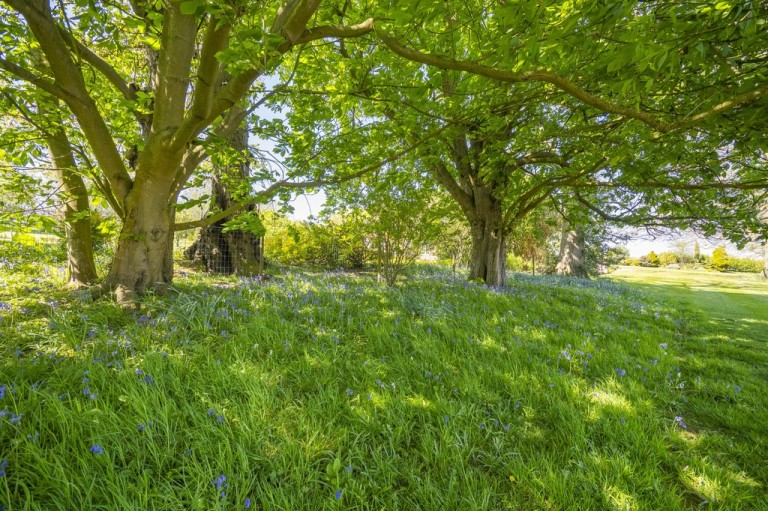 Images for Bures, Essex/Suffolk border, Bures