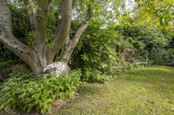 Images for Suffolk, Sudbury