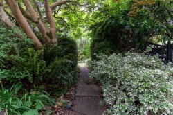 Images for Essex, Halstead