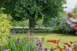 Images for Suffolk, Sudbury