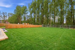 Images for Diss, Suffolk, Diss