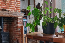 Images for Colchester, Suffolk, Colchester