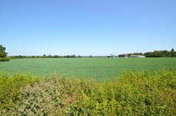 Images for Sudbury, Essex, Sudbury
