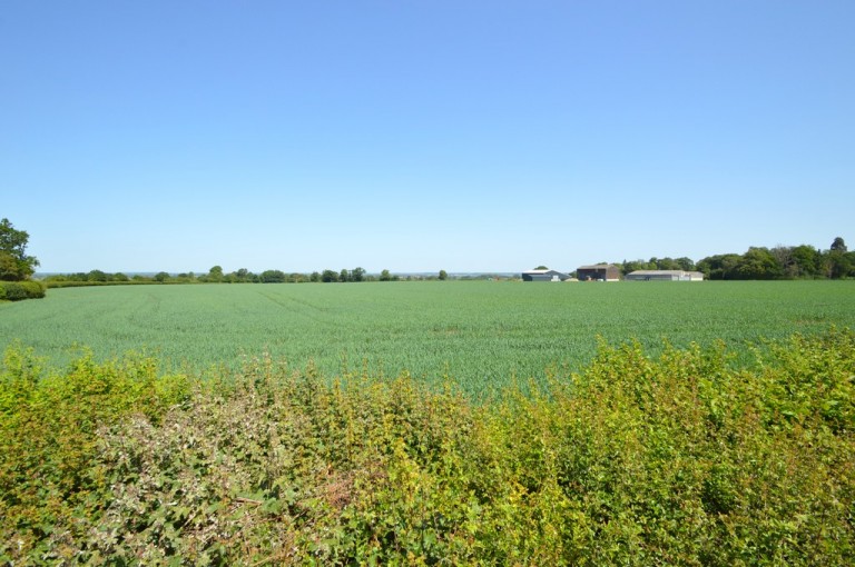 Images for Sudbury, Essex, Sudbury