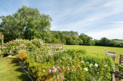 Images for Ipswich, Suffolk, Ipswich