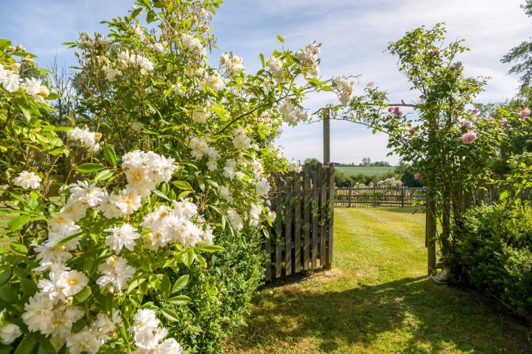 Images for Ipswich, Suffolk, Ipswich