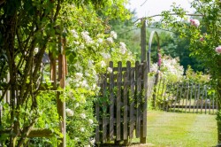 Images for Ipswich, Suffolk, Ipswich