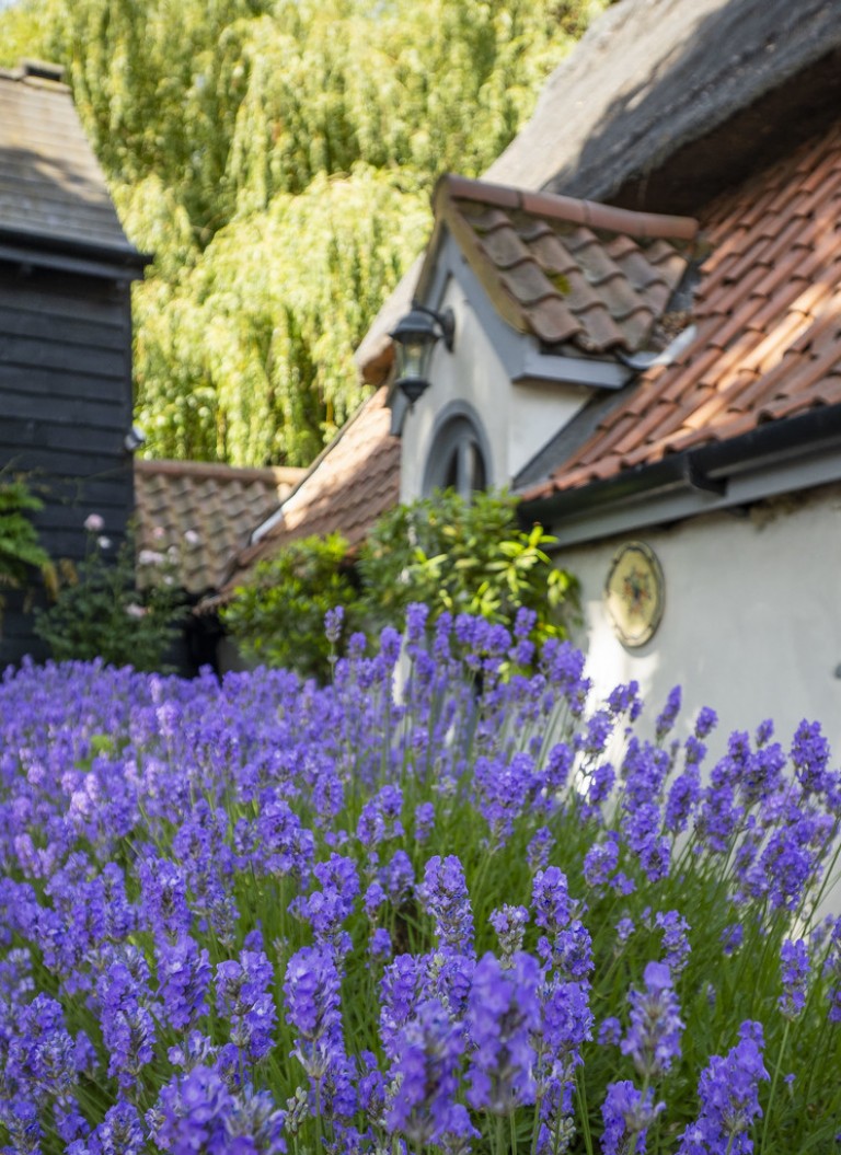 Images for Long Melford, Sudbury, Suffolk, Sudbury