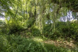 Images for Long Melford, Sudbury, Suffolk, Sudbury