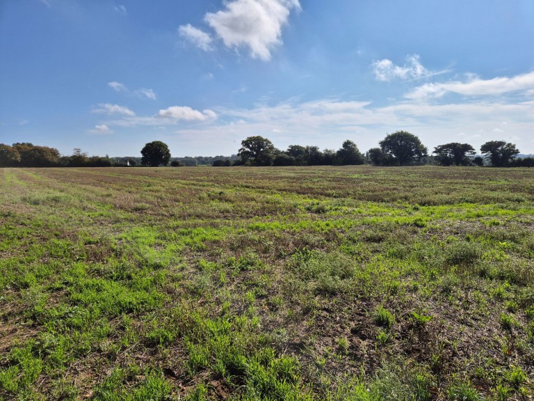 Images for Stratford St Andrew, Nr Saxmundham, Suffolk