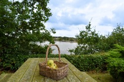 Images for Undershore Road, Lymington, SO41