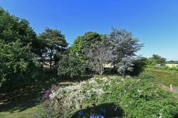 Images for Campsea Ashe, Suffolk