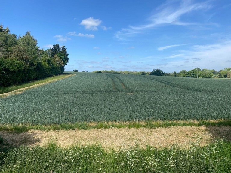 Images for Capons Green, Dennington, Nr Framlingham, Suffolk 