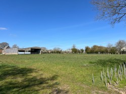 Images for Wingfield, Near Harleston
