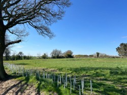 Images for Wingfield, Near Harleston