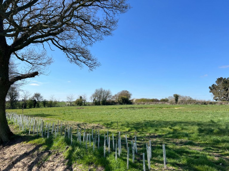Images for Wingfield, Near Harleston