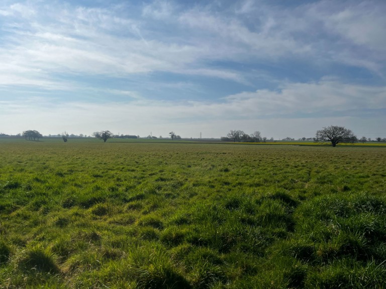 Images for Land at Coney Weston