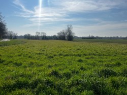 Images for Land at Coney Weston