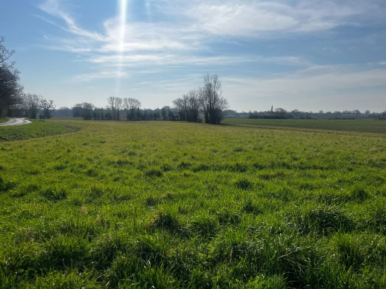 Images for Land at Coney Weston