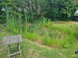 Images for Dennington, Near Framlingham, Suffolk