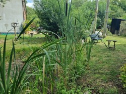 Images for Dennington, Near Framlingham, Suffolk