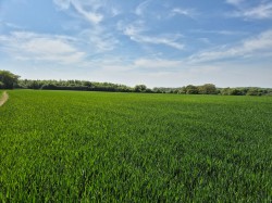 Images for Cransford, Nr Framlingham