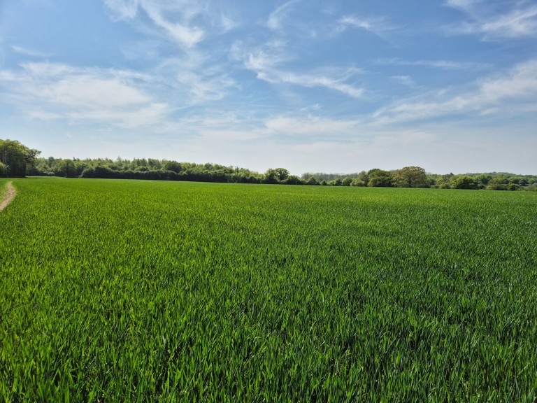 Images for Cransford, Nr Framlingham