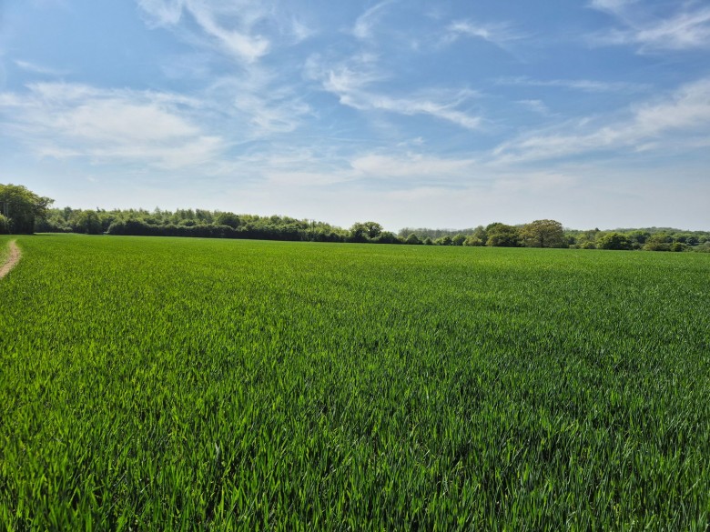 Click the photo for more details of Cransford, Nr Framlingham