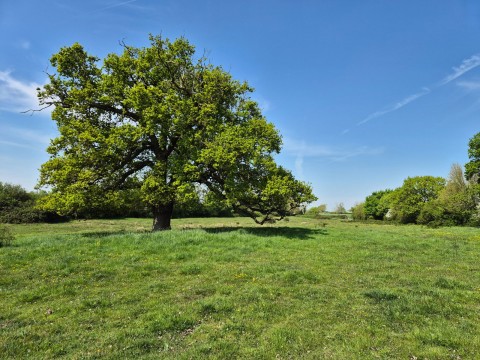 Click the photo for more details of Cransford, Nr Framlingham