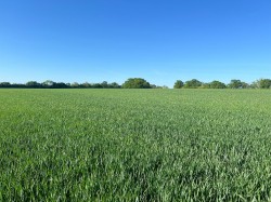 Images for Cransford, Nr Framlingham