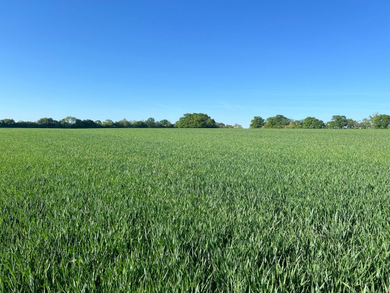 Images for Cransford, Nr Framlingham